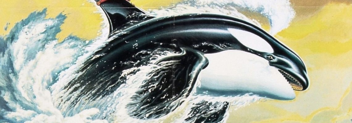 Cover Namu, l'orque sauvage