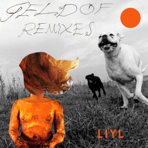 Geldof Remixes (EP)