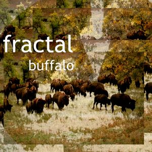 Buffalo (EP)