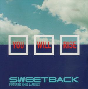 You Will Rise (Single)