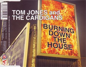 Burning Down the House (Single)