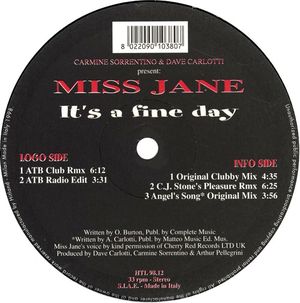 It's a Fine Day (radio mix)