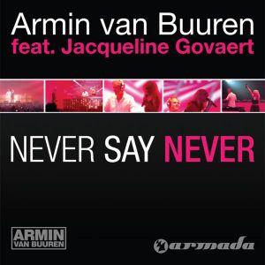 Never Say Never (Single)