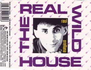 The Real Wild House (radio mix)