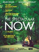 Affiche The Spectacular Now