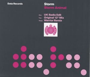 Storm Animal (BK remix)