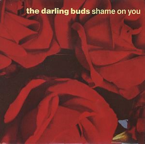 Shame on You (Single)