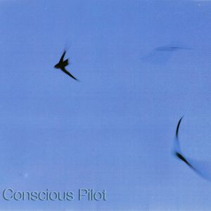 Conscious Pilot