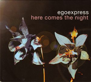 Here Comes the Night (Single)
