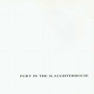 Fury in the Slaughterhouse