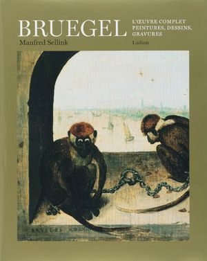 Bruegel : L'oeuvre complet, peintures, dessins, gravures