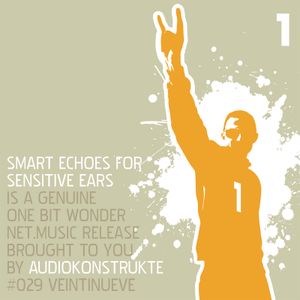 Smart Echoes for Sensitive Ears