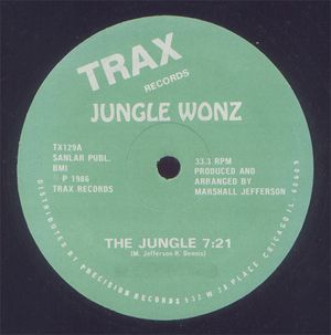 The Jungle (The Jungle mix)