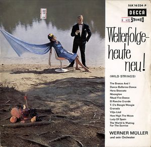 Welterfolge - Heute Neu! (Wild Strings)