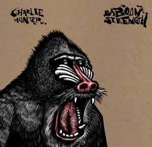 Baboon Strength
