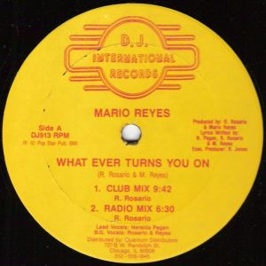 What Ever Turns You On (Single)