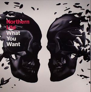 What You Want (Single)