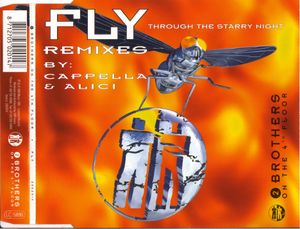 Fly (Through the Starry Night) (C.C.Q.T. extended mix)