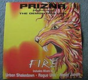 Fire (Rogue Unit remix)