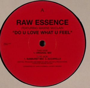 Do U Love What U Feel (Single)