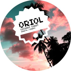 Coconut Coast (FaltyDL Remix)