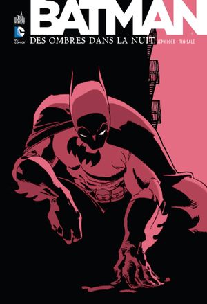 Batman : Des ombres dans la nuit
