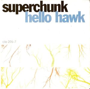 Hello Hawk (Single)