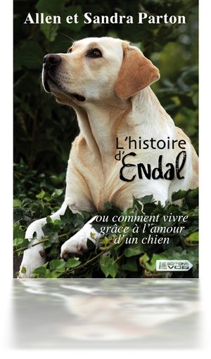 L'Histoire d'Endal ou comment bien vivre grâce à l'amour d'un chien