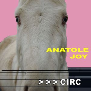 Anatole Joy