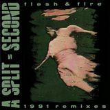 Pochette Flesh & Fire: 1991 Remixes