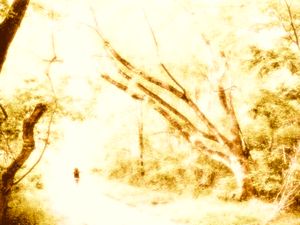 [untitled]