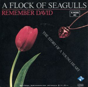 Remember David (Single)