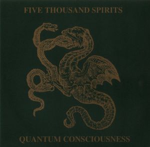 Quantum Consciousness