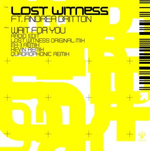 Wait for You (Lost Witness original mix)