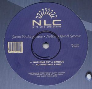 Nothing but a Groove (Single)