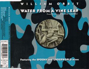 Water From a Vine Leaf (Single)