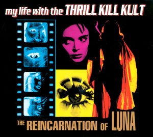 The Reincarnation of Luna
