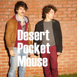 Desert Pocket Mouse