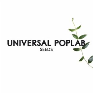 Fame & Hate