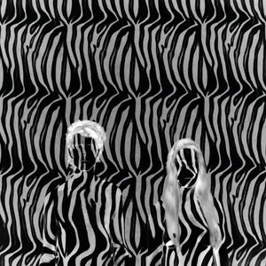 Zebra (EP)