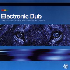 Electronic Dub