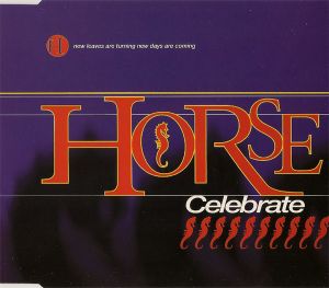 Celebrate (Moulimix)