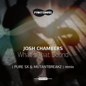 What's That Sound (PuRe SX & Mutantbreakz remix)