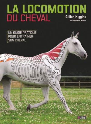 La locomotion du cheval, un guide pratique