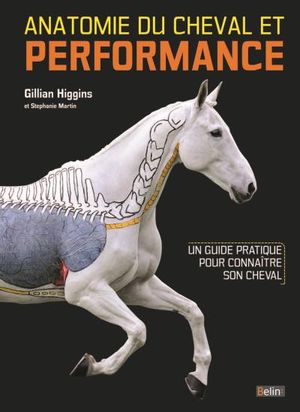 Anatomie du cheval et performance