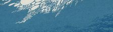 Cover AMBiENT