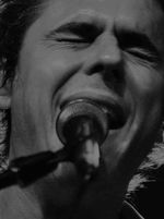 Tim Freedman