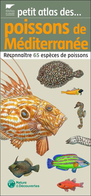 Petit atlas des poissons de Méditerranée : reconnaître 65 espèces de poissons