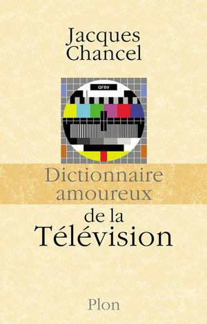 Dictionnaire amoureux de la télévision