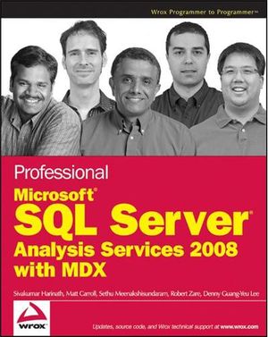 Professional Microsoft SQL Server Analysis Services 2008 with MDX